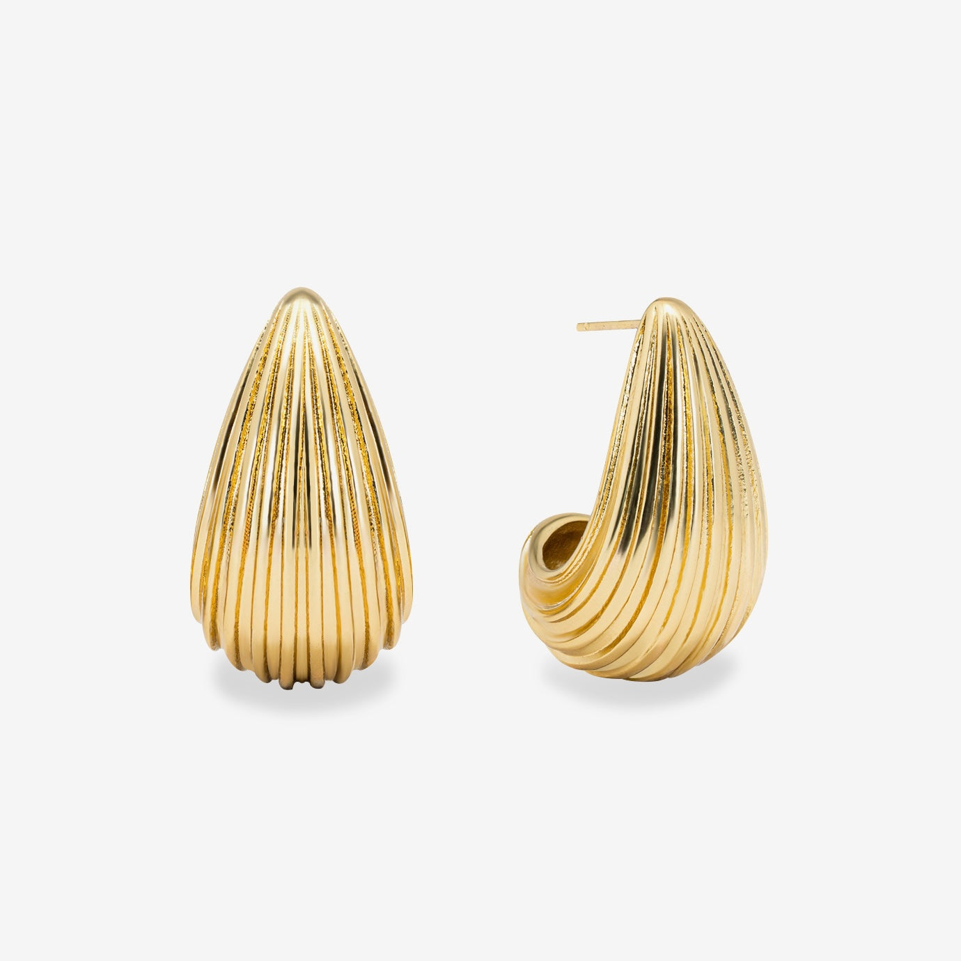 Soft Shell Earrings